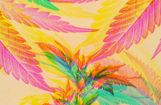 CBD and Pleasure